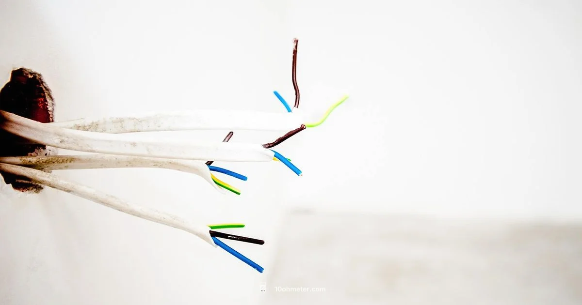 Test a 220V Outlet - 10ohmeter