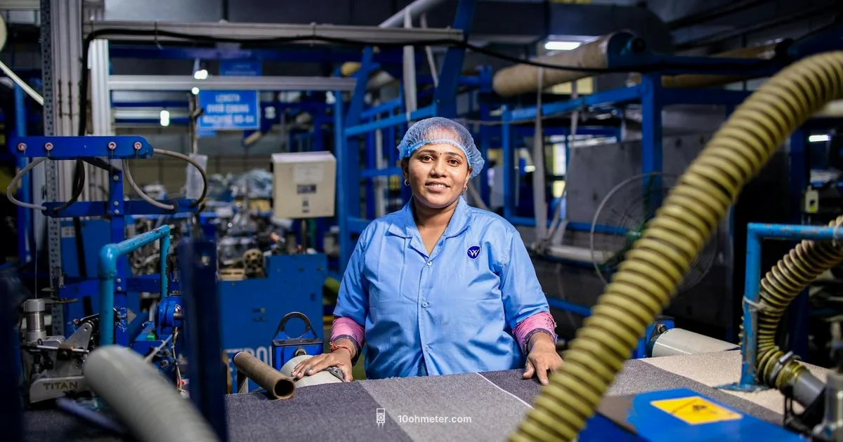 Fluke Manufacturing - 10ohmeter