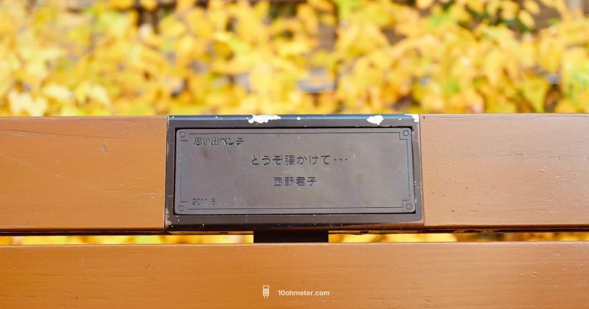 Multimeter vs Test Light - 10ohmeter