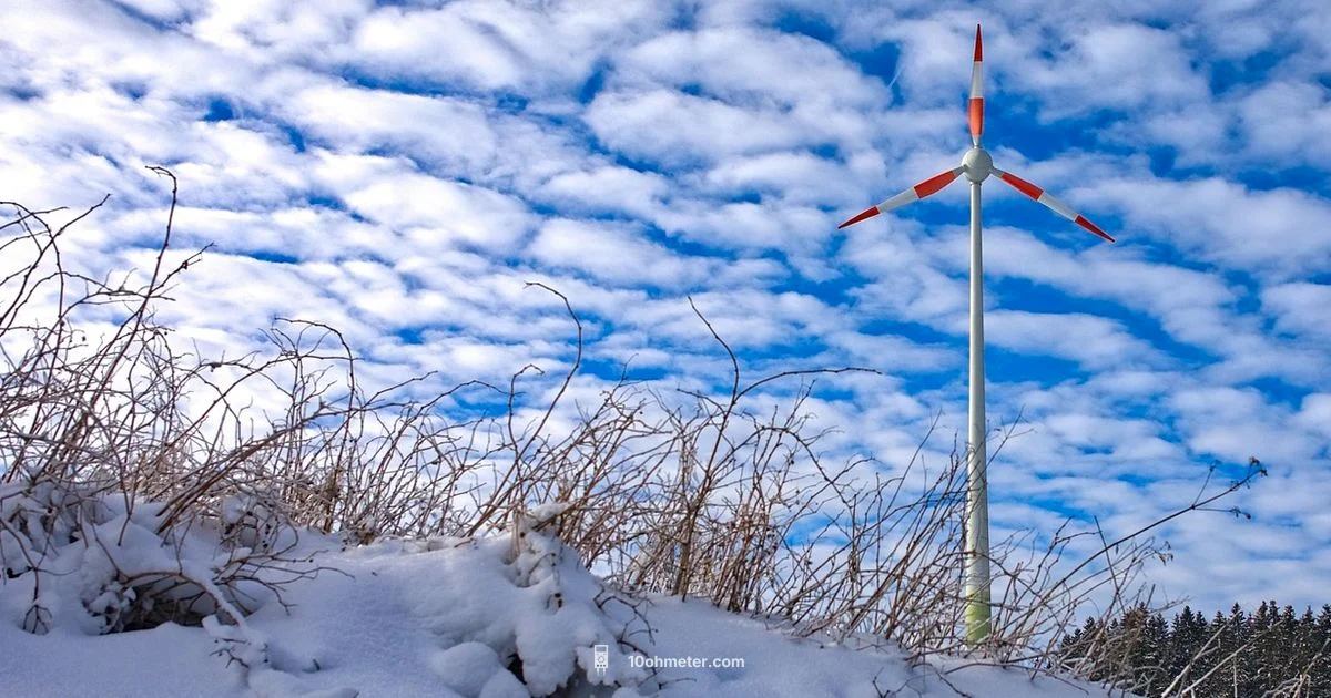 BP290 Battery Pack - 10ohmeter