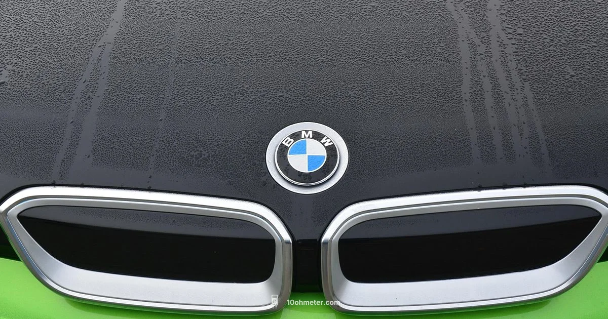 Alternator Check - 10ohmeter