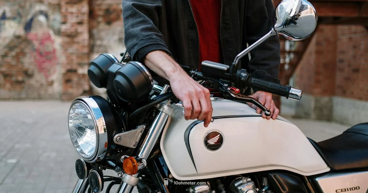 Fluke 724 Guide - 10ohmeter