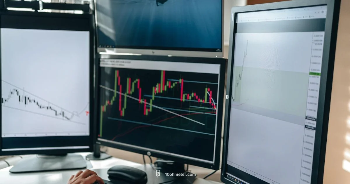 Set Up a Multimeter - 10ohmeter