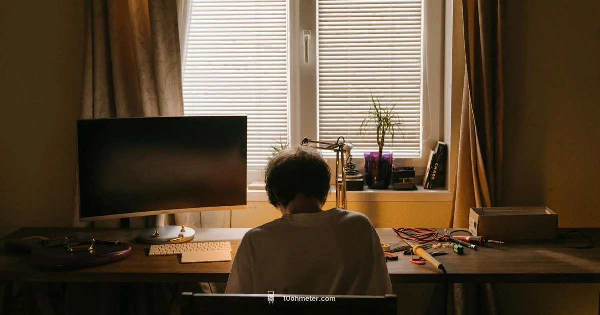 Good Multimeter Guide - 10ohmeter