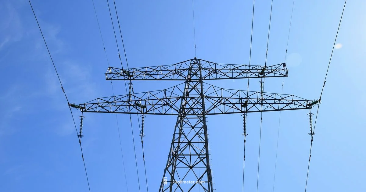 1000V Multimeter Guide - 10ohmeter